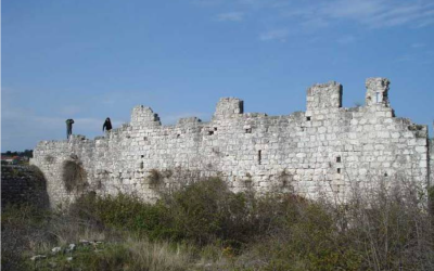 DANI BRANITELJA U PAKOŠTANIMA I VRANI 2011. GODINE